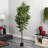 Fig Artificial Tree