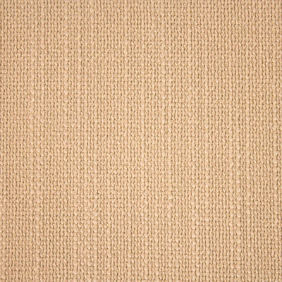 Winner’s Circle II Fabric