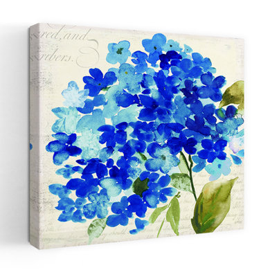 Hampton Hydrangea II, délicat hortensia biologique élégant, art floral naturel