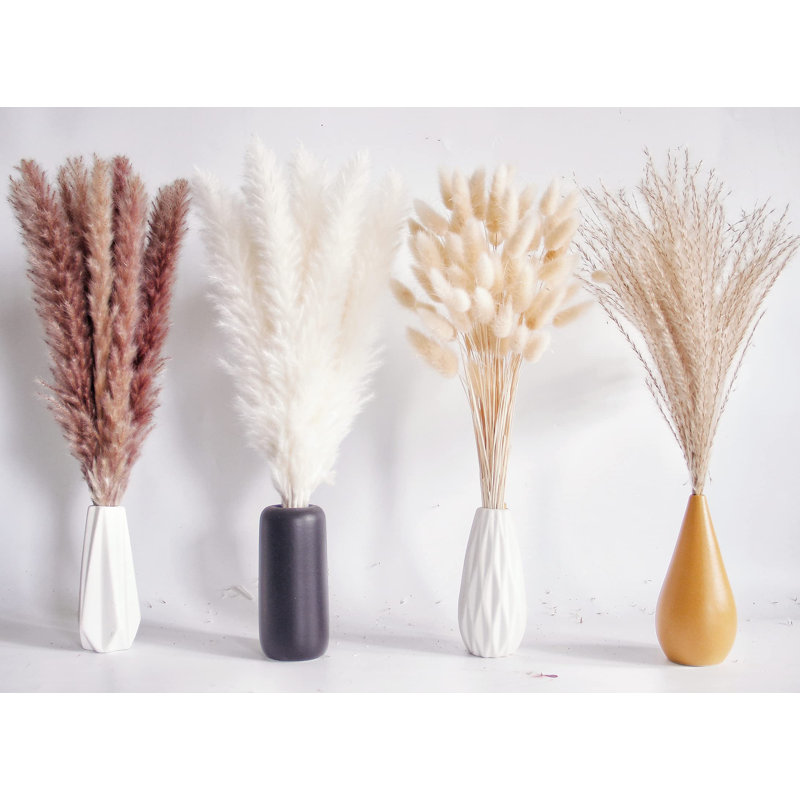 Pampa Arrangement