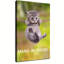 Affiche Hang In There Cat-129983219