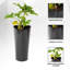 Pot à fleurs en plastique Leyanna-87829432