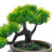 Rahmeek Weather Resistant Fountain with Light