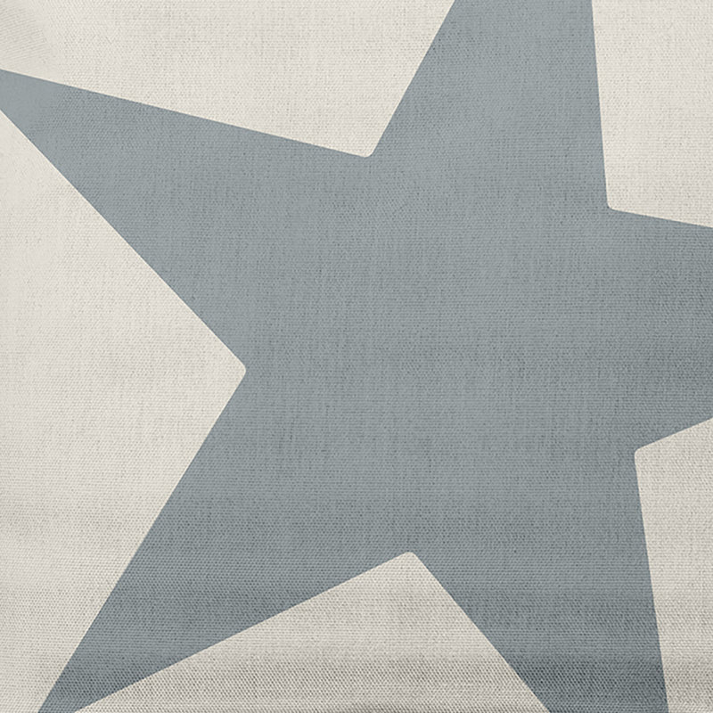 Coussin décoratif en coton star Louth, Dusty Smoke, 16 po x 16 po