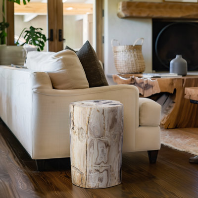 Fossil Relics End Table