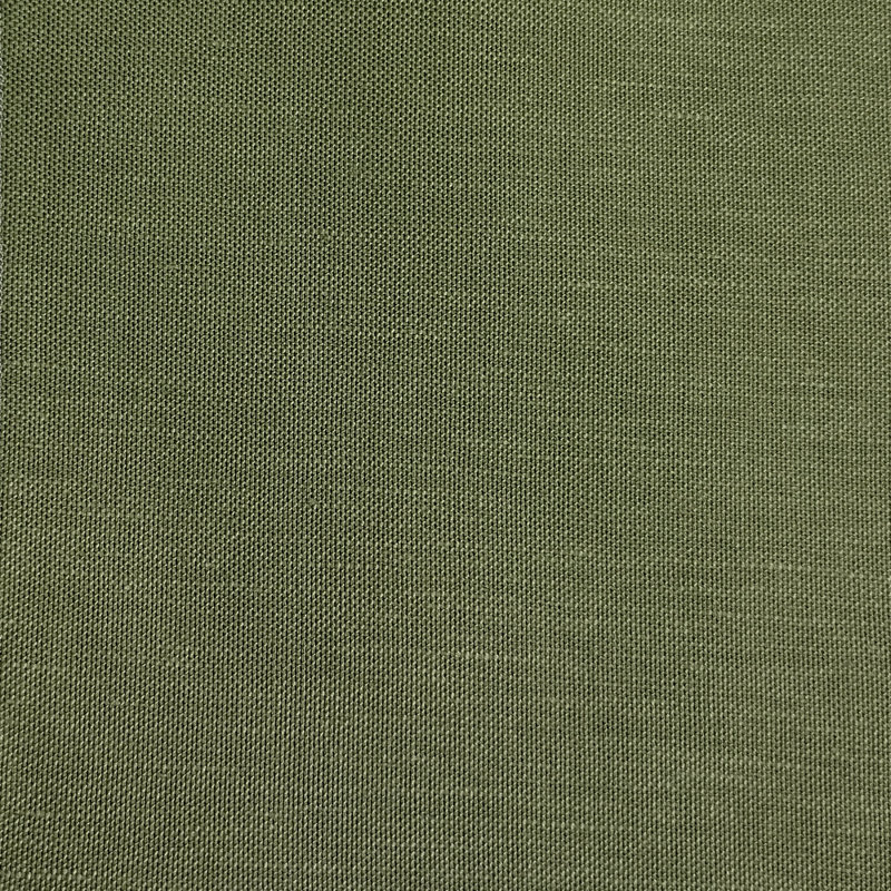 Sunbelt, Cactus