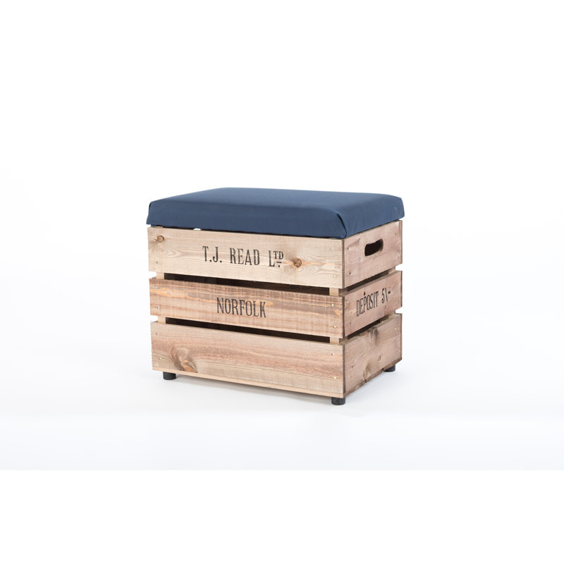 Edington Upholstered Outdoor Ottoman, Blue