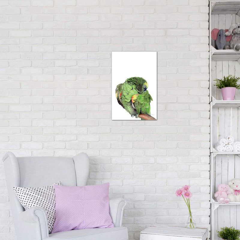 «Sleeping Amazon Parrot» par Watercolor Luv - impression d'art graphique, H 26 po x l 18 po x 1,5 po, Toile tendue