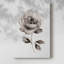 Grace I - galerie Cavas-108829008