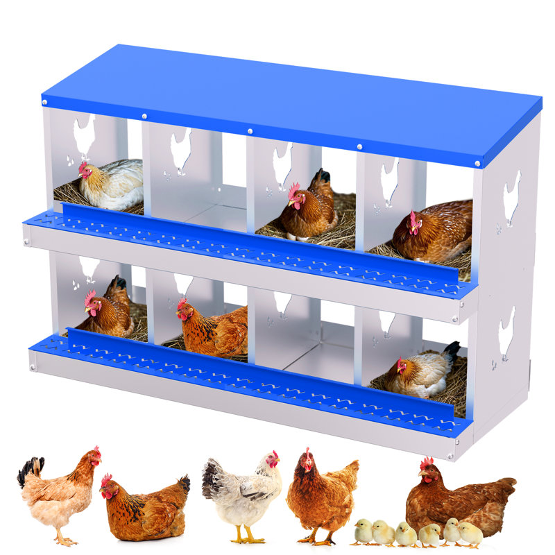 Boîte de nidification en métal pour poules pondeuses, H 26,57 po x l 42,52 po x P 16,93 po, Bleu