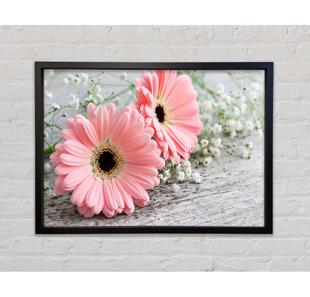 Pink Gerbera Laying Down Close - Einzelner Bilderrahmen Kunstdrucke auf Leinwand