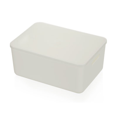 Rebrilliant Plastic Bin