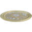 Solid Brass Decorative Tray