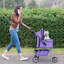 Pet Stroller-57840363