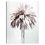 «Retro Palm Study», impression sur toile tendue
