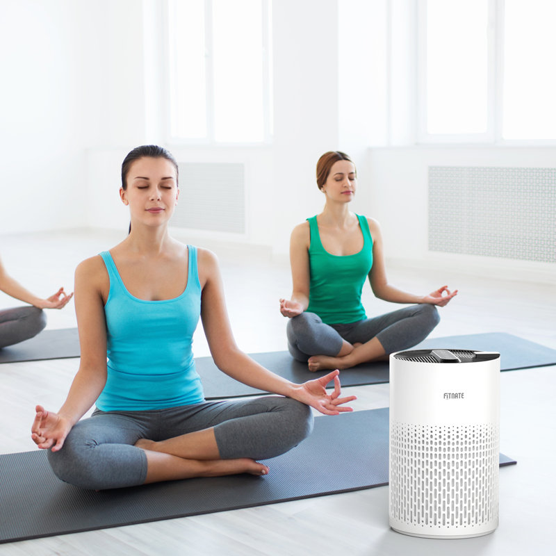 Purificateur d'air Fitnate avec filtre HEPA, Blanc