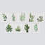 «Green Tropical Cactus Monstera Plant Nature Wildernesss», art moderne encadré sur papier, 9 pièces-92574032-92574028