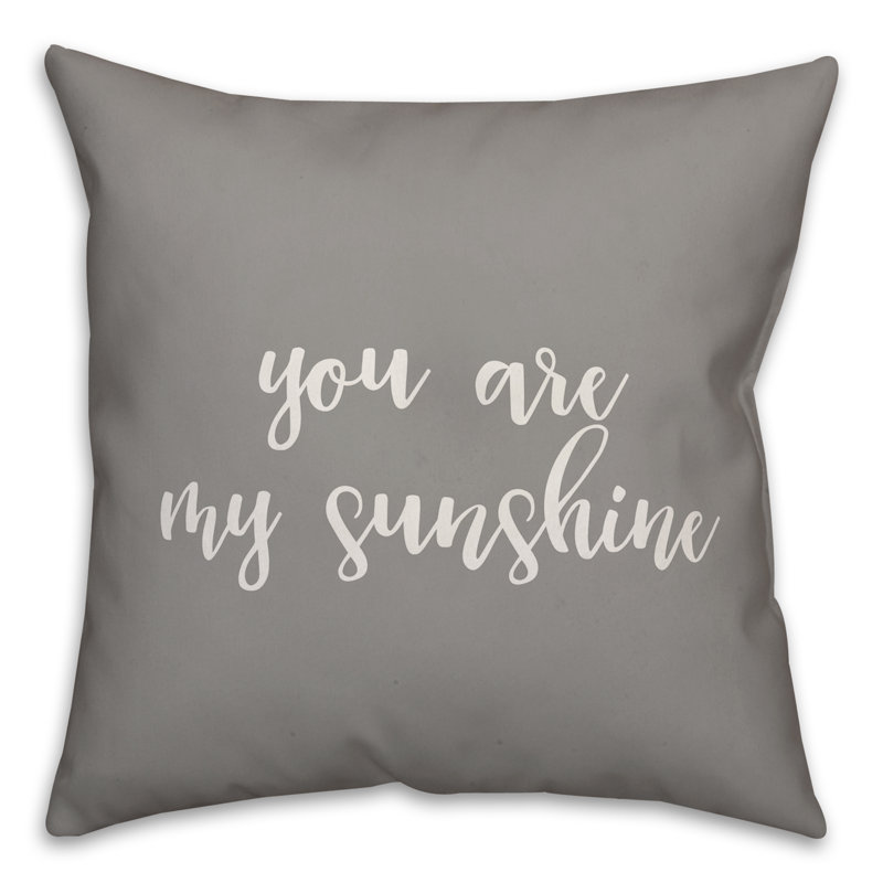 Coussin You are My Sunshine, Gris, Housse de coussin