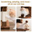 Grand condo 64 "pour chat-848029378-827456027