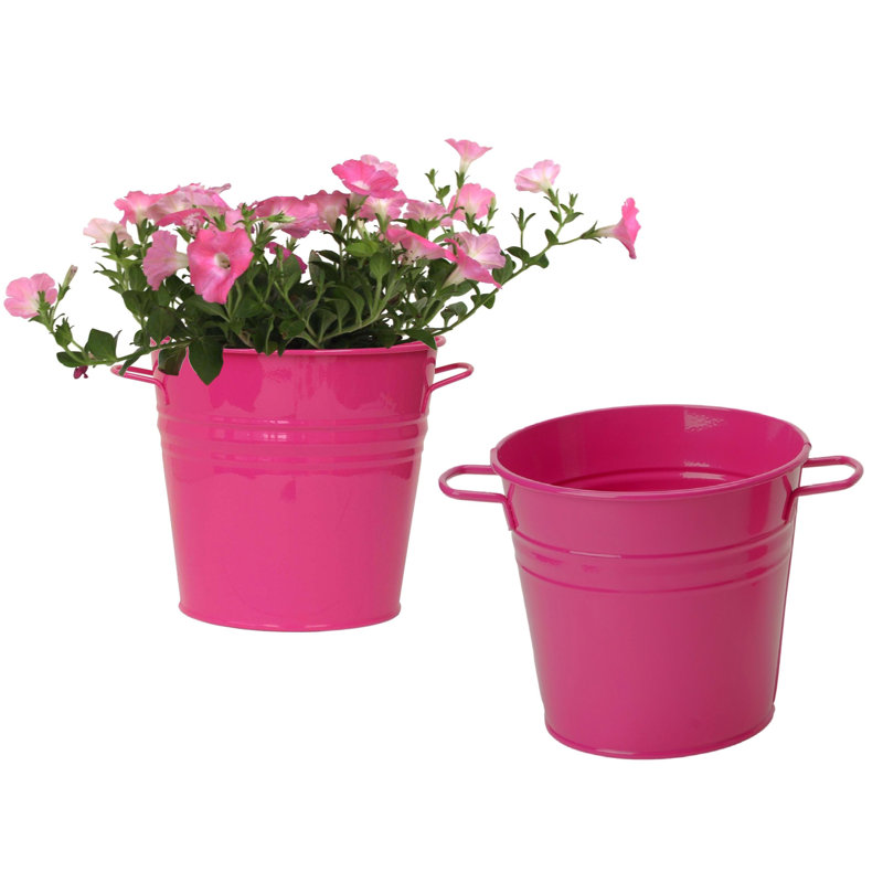 Ensemble de pots à fleurs 2 pièces Maynard, Rose vif