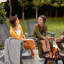 Harborton Outdoor Chair
