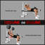 Banc de musculation ajustable multifonctionnel