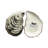 Seaside Small Oyster 6.5" Bread Plate