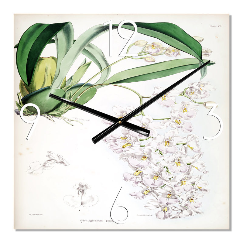 Horloge murale rétro Vintage White Orchid II, Grand