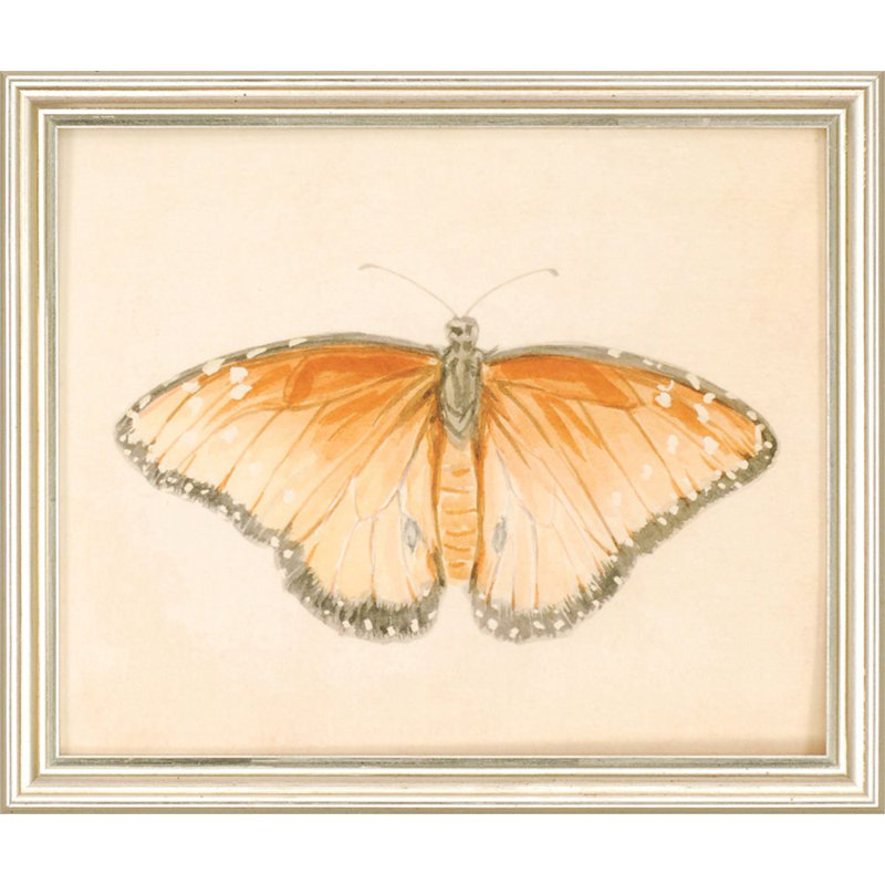 Butterflies S/6 Print by Meagher