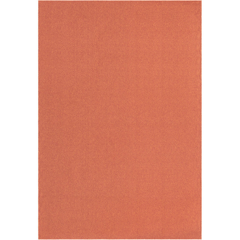 Indoor Rug, Rectangle 6' x 9'