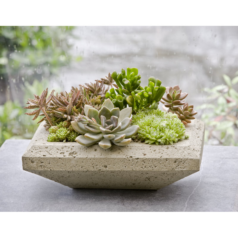 Garden Terrace Planter, Brownstone