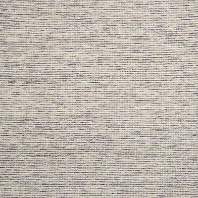 Indoor Rug