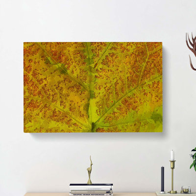 Veins Of The Leaf In Abstract - Wrapped Canvas Print