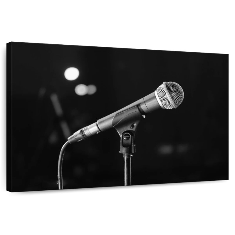 Abarca Microphone, 32" H x 48" W