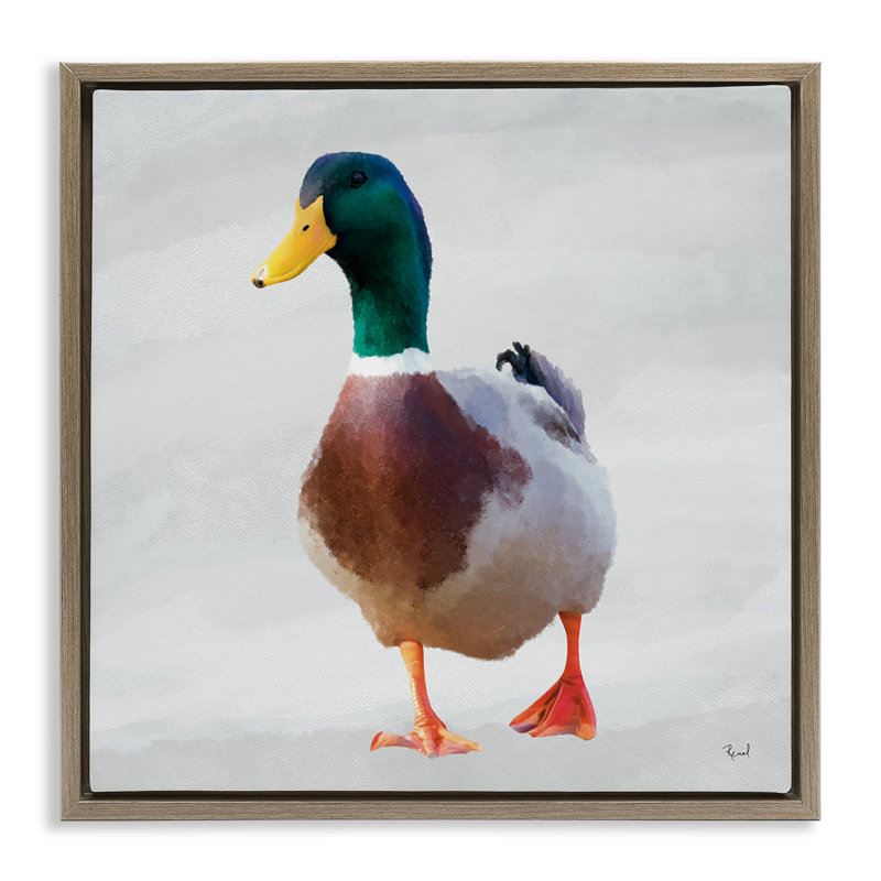 Cadre flottant Mallard Duck Squawking, design par Renel Peters, H 25 po x l 25 po, Cadre flottant orme Montalcino