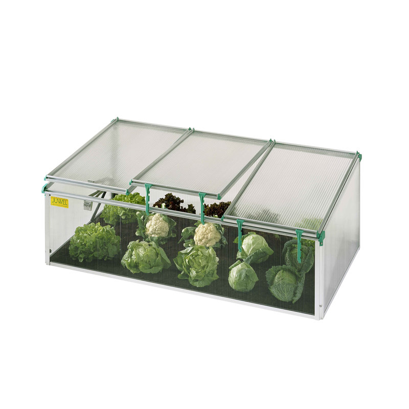 Cold Frame Seed Starter