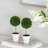 Set of 3 Mini Topiaries in Decorative Pots