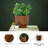 Chaffinch Vase-122059983-122059985