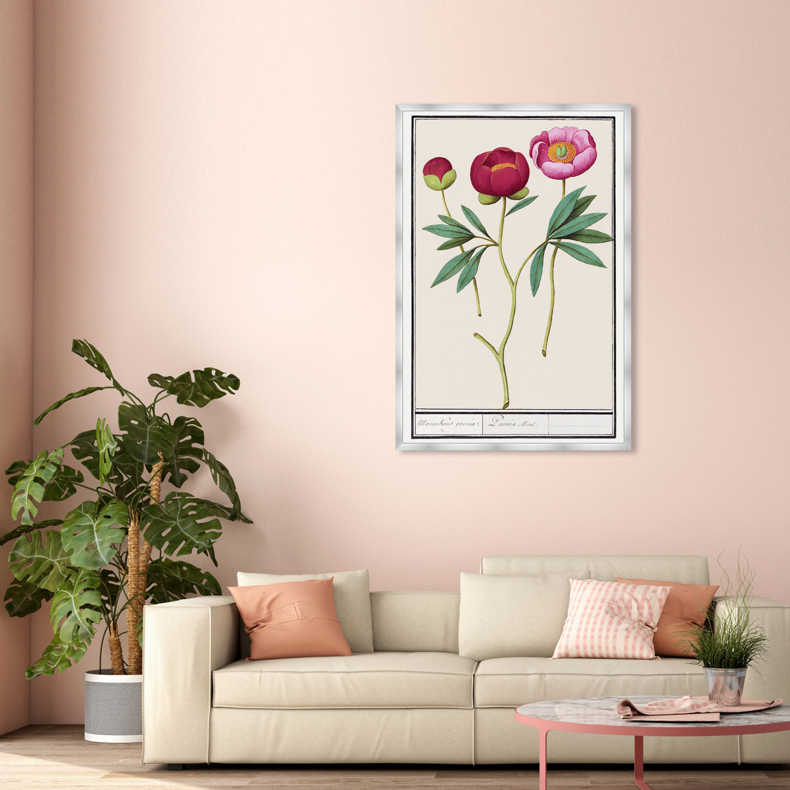 Red and Pink Peony Botanical Study Print, 56" H x 38" W, Silver