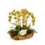 Orchid Centerpiece in Planter-46128082