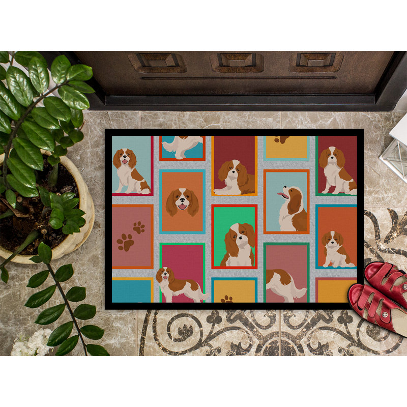 Nermal Non-Slip Doormat, 24" W x 36" L