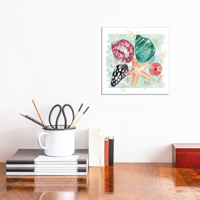 Beachcomber - Shell Medley 1 Piece Painting on Canvas