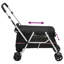Delvale Collapsible Pet Vehicle Travel Carrier with 1 Door-1990711695