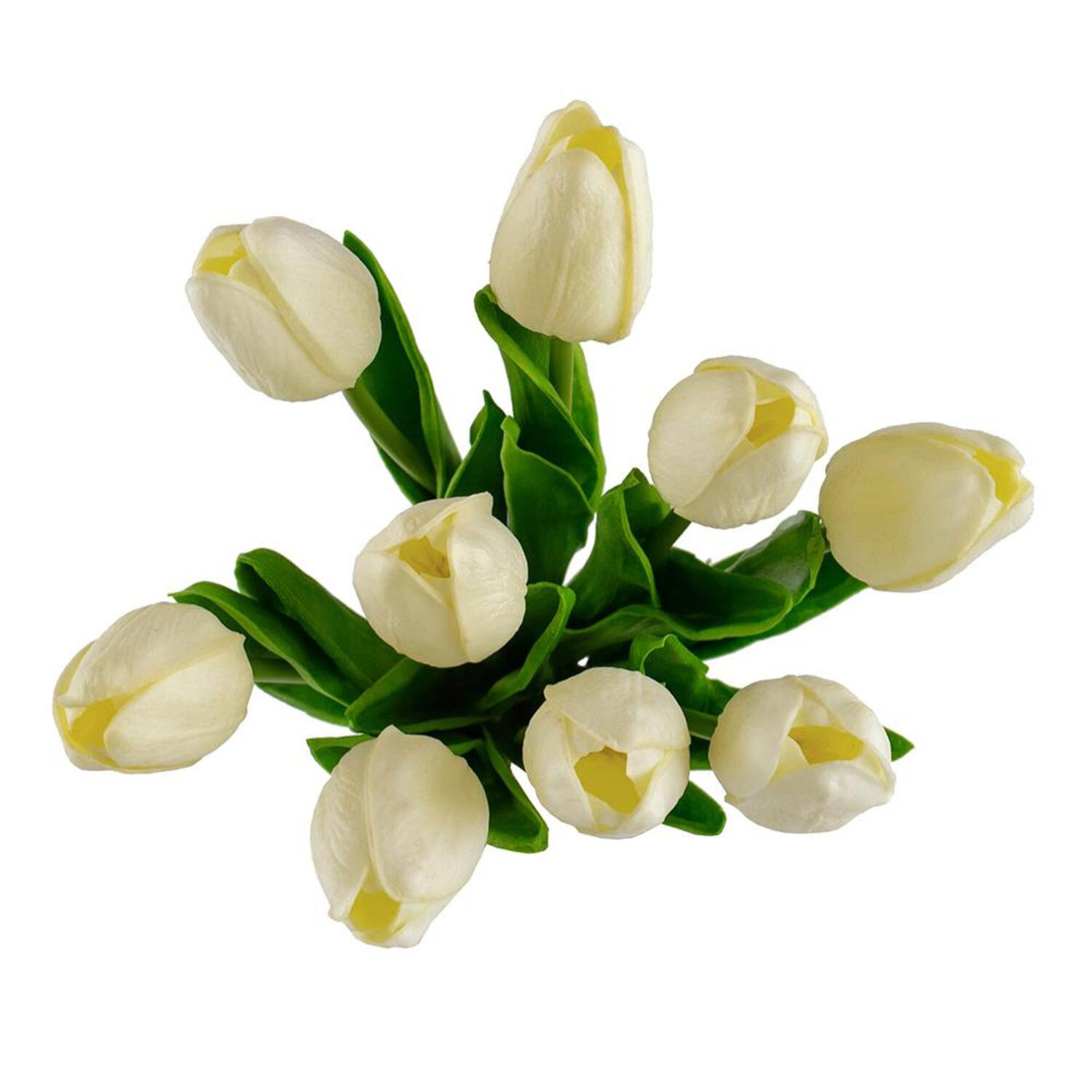 Tucson Tulip Stems, White, 13" H x 5.5" W x 5.5" D