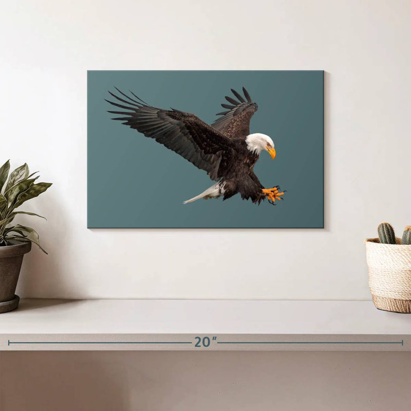 Brampt Predator Bald Eagle, 8" H x 12" W
