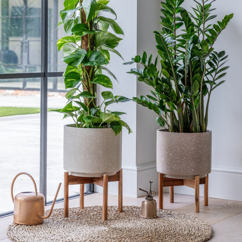 Valetta Speckled Planter with Stand , 37cm H x 28cm W x 11.02cm D, Ivory
