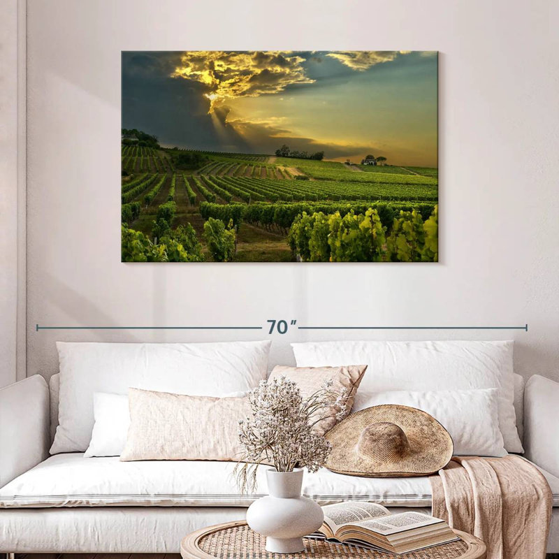 Alvord, vignoble du sud de la France, H 30 po x l 45 po