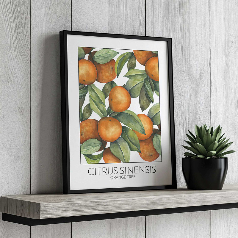 «Orange Tree» par Susan Ball, reproduction d'art, L 24 po x H 32 po, Impression encadrée, Blanc