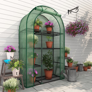 39''W x 17''D × 63''H Small Hobby Greenhouse