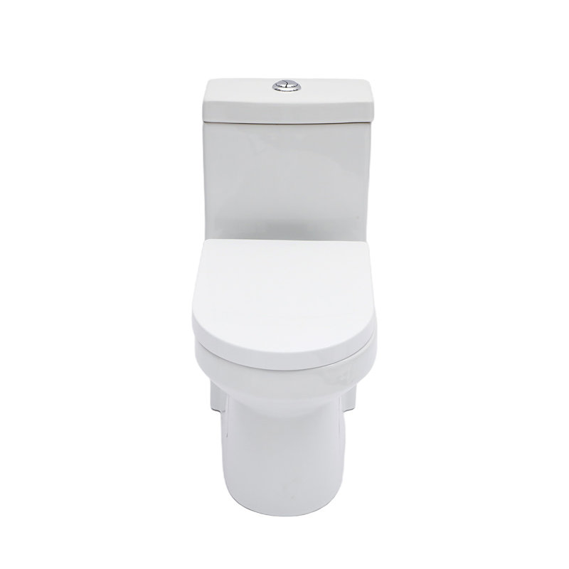 Ceramic One Piece Toilet For Bathroom, 12-Inch Rough-In, 1.1/1.6 GPF, Dual Flush With Soft Clsoing Seat, Powerful Dual Flush MAP 800G